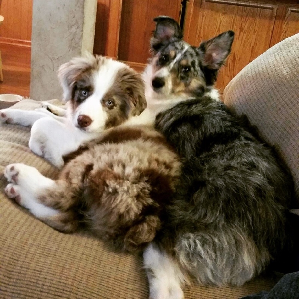 Hi! - Picture 2 of 6